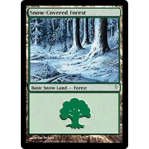 Snow-Covered Forest