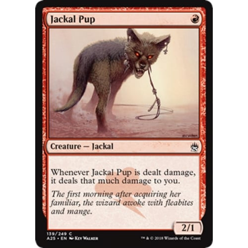 Jackal Pup | Masters 25