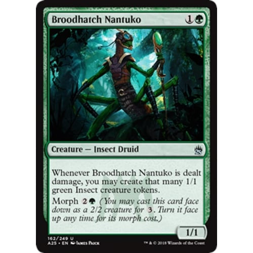 Broodhatch Nantuko