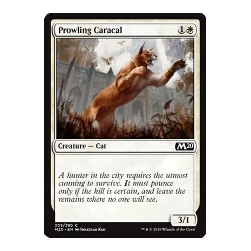 Prowling Caracal (Spellslinger Kit Card)