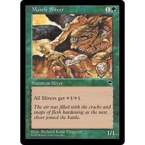 Muscle Sliver