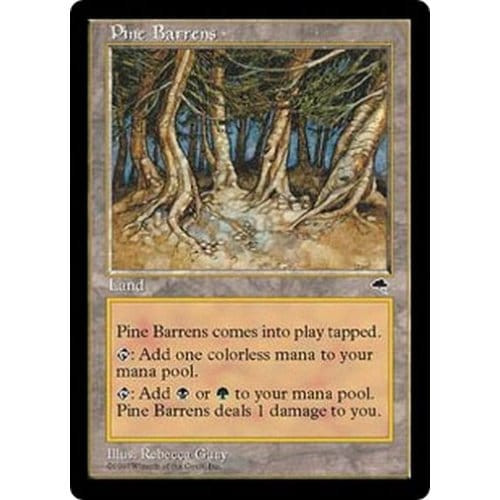 Pine Barrens