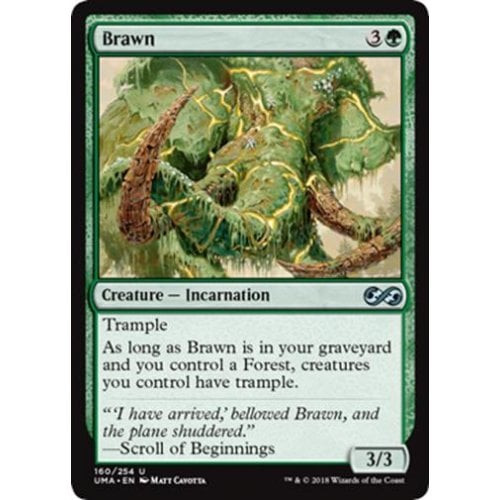 Brawn (foil)