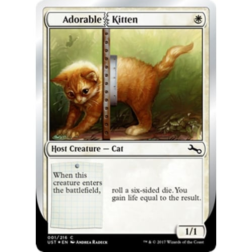 Adorable Kitten | Unstable