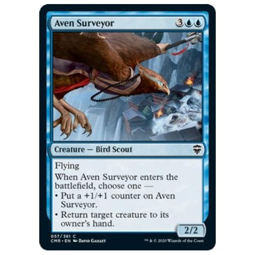 Aven Surveyor