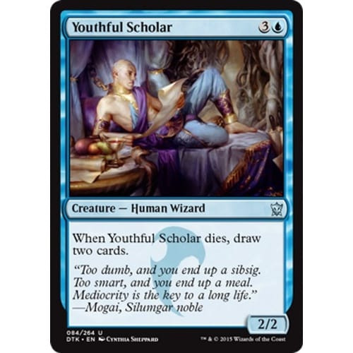 Youthful Scholar