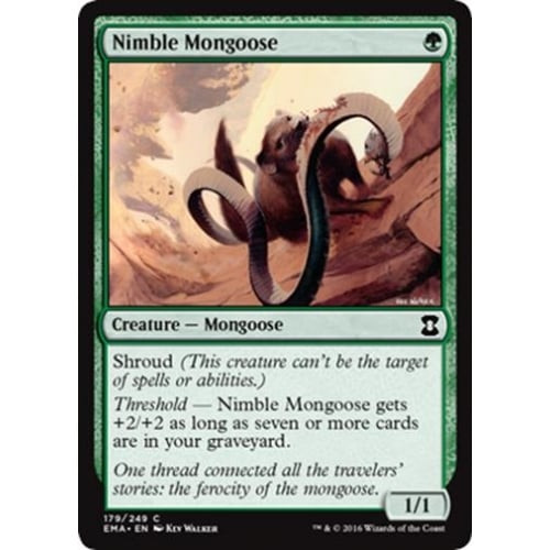 Nimble Mongoose