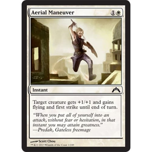 Aerial Maneuver