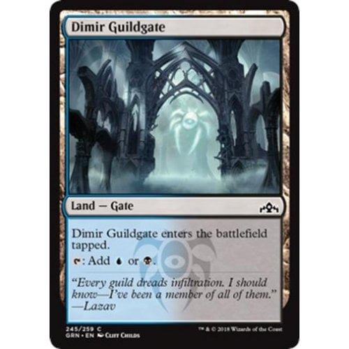 Dimir Guildgate (#245) (foil)