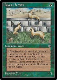 Joven's Ferrets