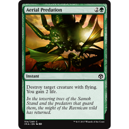 Aerial Predation | Iconic Masters