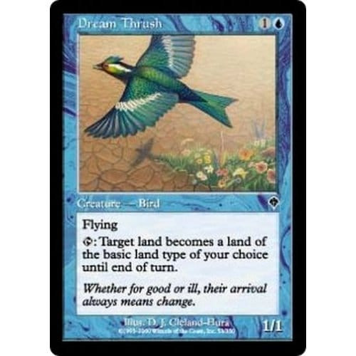 Dream Thrush