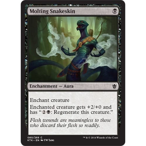Molting Snakeskin