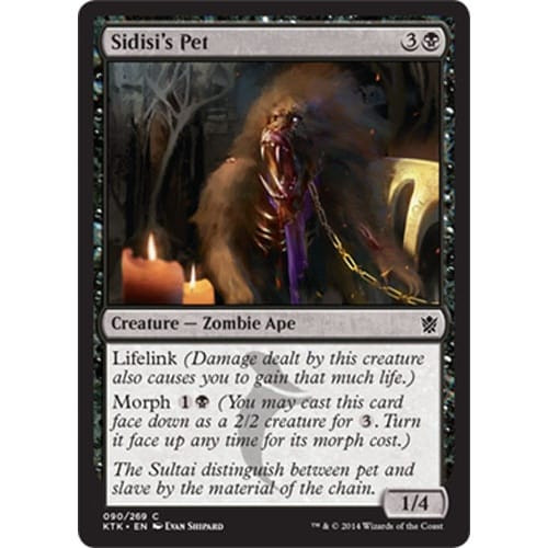 Sidisi's Pet