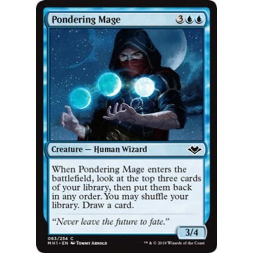 Pondering Mage