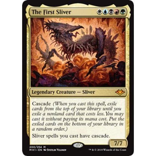 The First Sliver