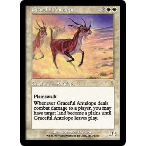 Graceful Antelope