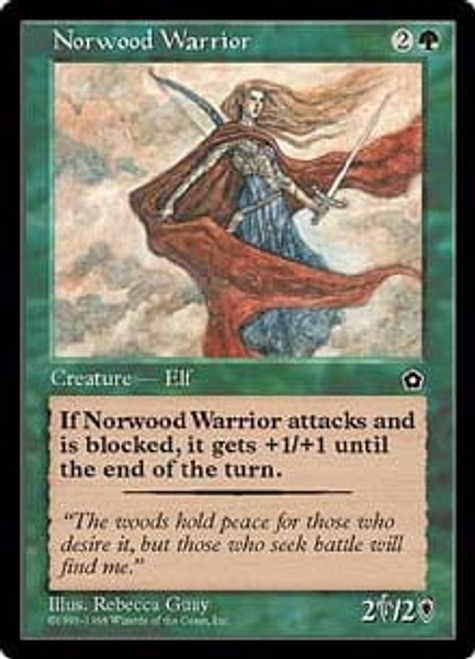 Norwood Warrior