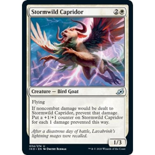 Stormwild Capridor