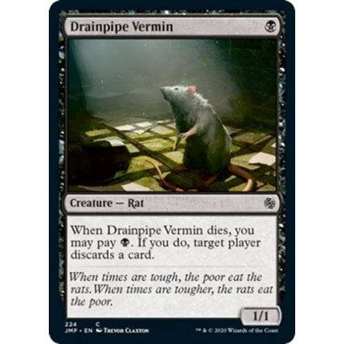 Drainpipe Vermin