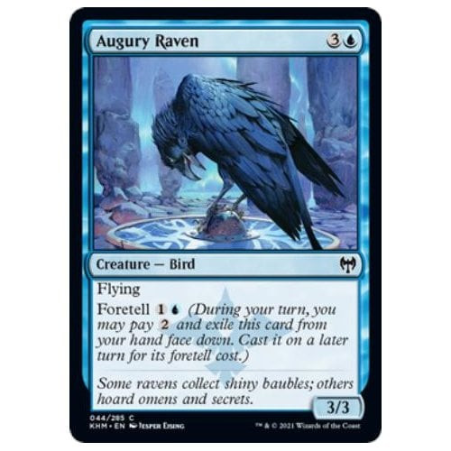 Augury Raven