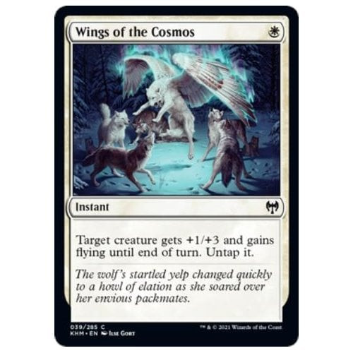 Wings of the Cosmos
