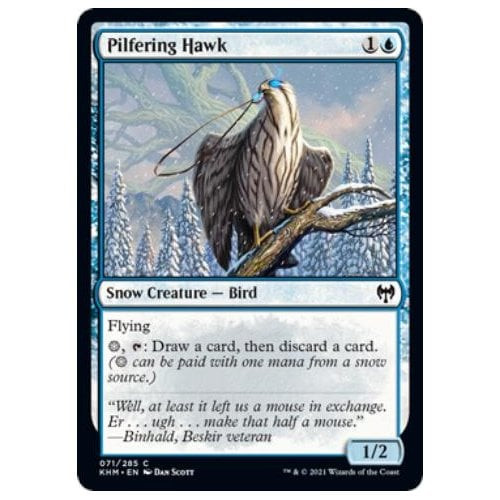 Pilfering Hawk (foil)