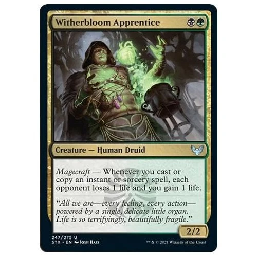 Witherbloom Apprentice