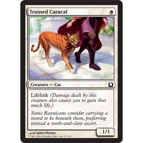 Trained Caracal