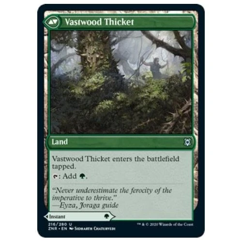 Vastwood Fortification // Vastwood Thicket