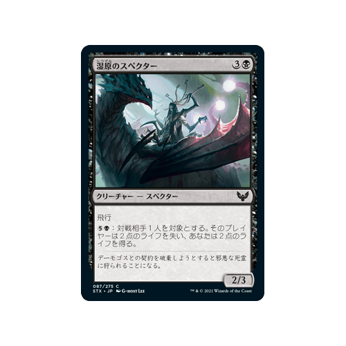 Specter of the Fens (foil) (Japanese) | Strixhaven: School of Mages