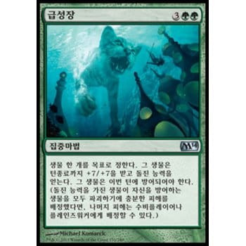Enlarge (Korean)