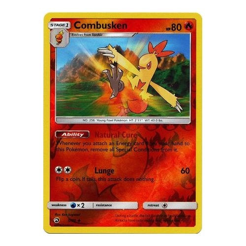 Dragon Majesty 05/70 Combusken (Reverse Holo)