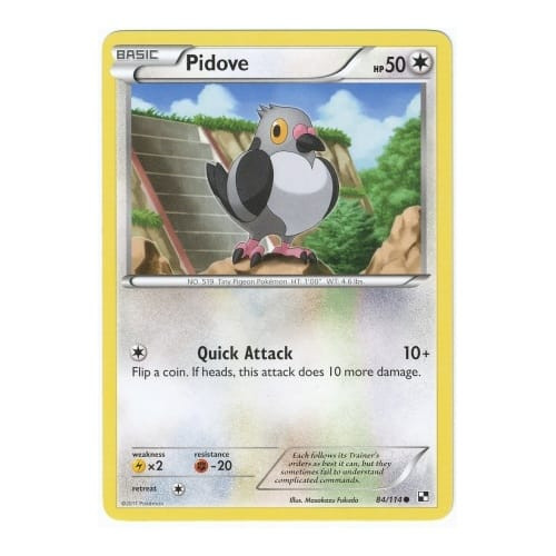 Black & White 84/114 Pidove