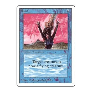 Flight
