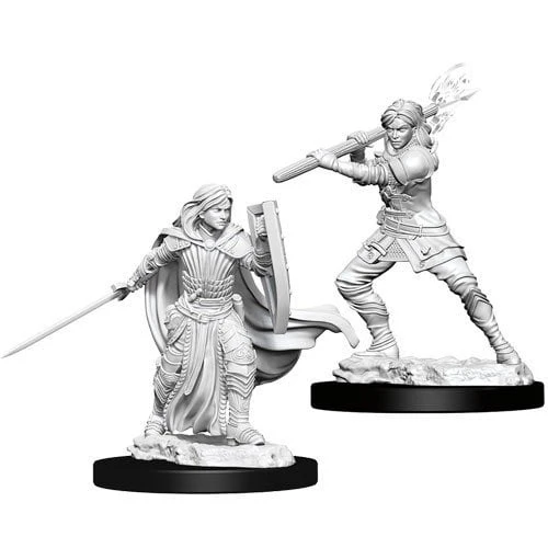 D&D Nolzur's Marvelous Miniatures - Human Female Paladin (73830)