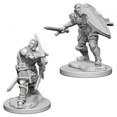 D&D Nolzur's Marvelous Miniatures - Human Male Paladin (72629)