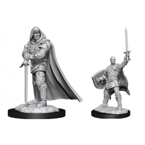 D&D Nolzur's Marvelous Miniatures - Human Male Paladin (90136)