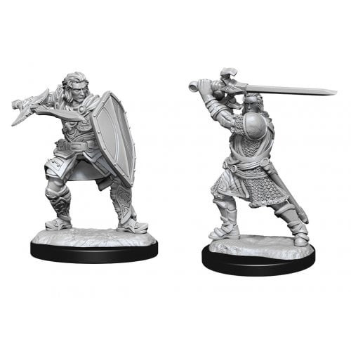 D&D Nolzur's Marvelous Miniatures (Wave 14) - Human Paladin Male