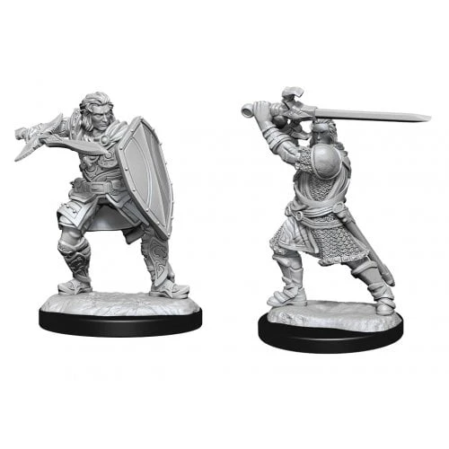 D&D Nolzur's Marvelous Miniatures - Human Male Paladin (90220)