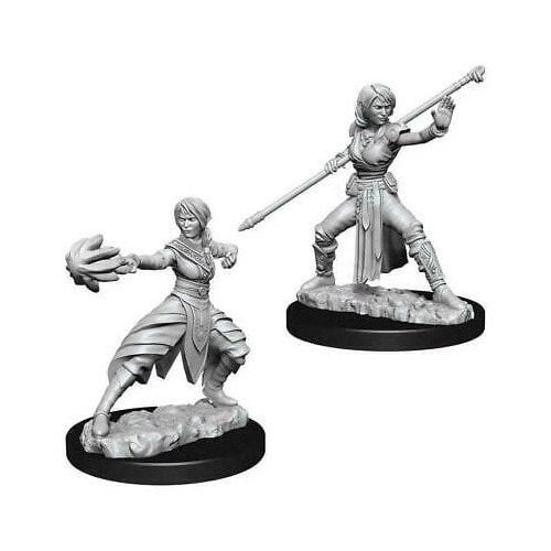 D&D Nolzur's Marvelous Miniatures - Half-Elf Female Monk (73839)