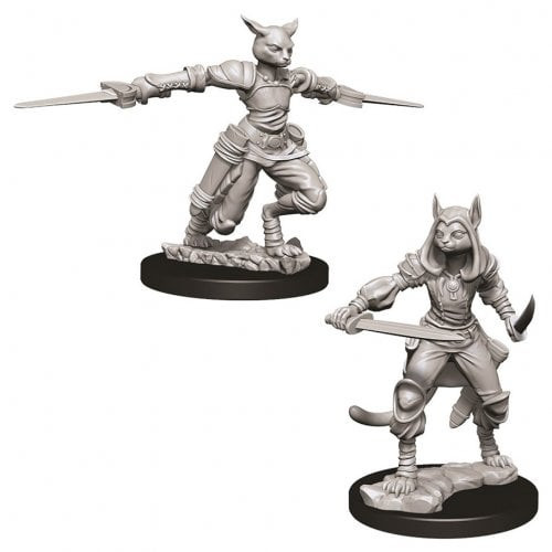 D&D Nolzur's Marvelous Miniatures - Tabaxi Female Rogue (73708)
