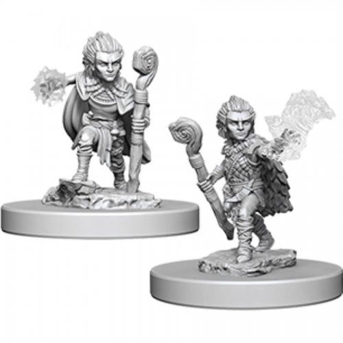 Pathfinder Battles Deep Cuts - Gnome Male Druid (73346)