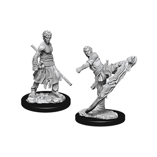 D&D Nolzur's Marvelous Miniatures - Half-Elf Male Monk (73838)
