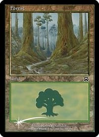 Forest (Arena foil - Mercadian Masques)