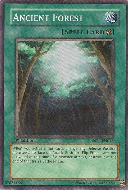 ANPR-EN048 Ancient Forest