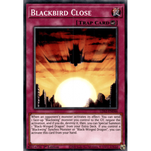 LDS2-EN046 Blackbird Close