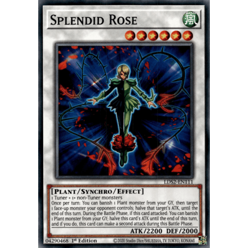 LDS2-EN111 Splendid Rose