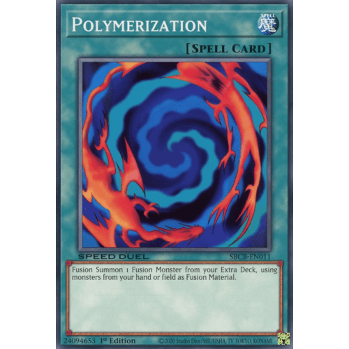 SBCB-EN011 Polymerization