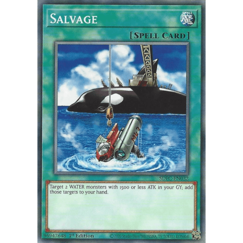 SDFC-EN032 Salvage